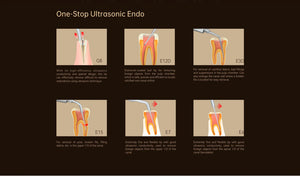 Woodpecker PT-B Air Polisher and Ultrasonic Dental Scaler Unit