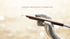Woodpecker PT-B Airstream Biofilm Clearance